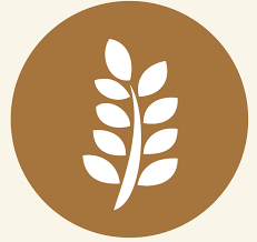 The Source Bulk Foods Leslieville logo